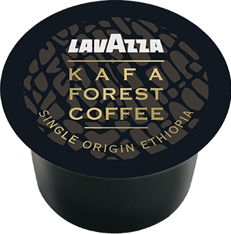 Kafa Forest Kaffe